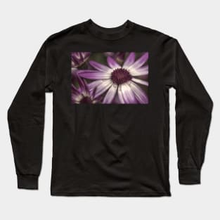 HDR Senetti #2 Long Sleeve T-Shirt